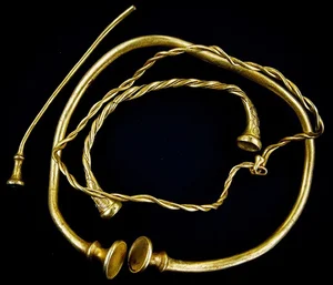 Amateur Metal Detectorist Unearths Priceless Ancient Treasure - image 0