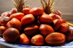 The Lucky Bloom: Discovering the Unique Plant That Brings Prosperity - image 3