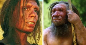 Uncovering the Secrets of the Jomon People: Prehistoric Japan Explored - image 6