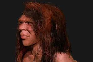 Uncovering the Secrets of the Jomon People: Prehistoric Japan Explored - image 8