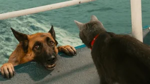 Cats vs. Dogs: 15 Fascinating Contrasting Traits of Our Favorite Pets - image 5