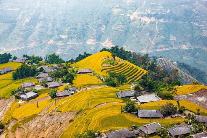 Discover Vietnam's New Hidden Picturesque Terrace Rice Field Paradise