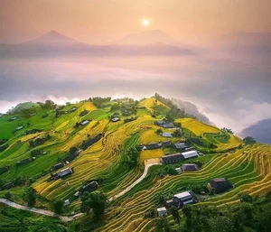 Discover Vietnam's New Hidden Picturesque Terrace Rice Field Paradise - image 4