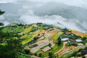 Discover Vietnam's New Hidden Picturesque Terrace Rice Field Paradise - image 3
