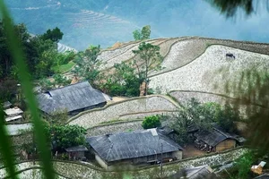 Discover Vietnam's New Hidden Picturesque Terrace Rice Field Paradise - image 1