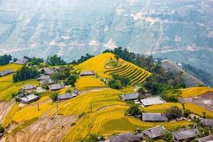 Discover Vietnam's New Hidden Picturesque Terrace Rice Field Paradise - image 0