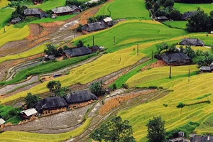 Discover Vietnam's New Hidden Picturesque Terrace Rice Field Paradise - image 2