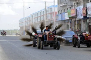 15 Craziest and Most Bizarre DIY Inventions Ever Created in China - image 9