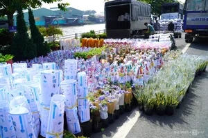 Inside Sa Dec: The Largest Flower Village in Western Vietnam Preparing for Tet - image 5