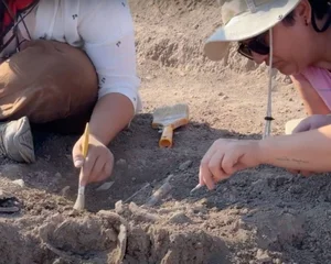 Archaeologists Unearth Secrets of a 7600 Year Old Ancient Tomb - image 4