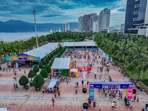 Experience the Thrill of VnExpress Marathon Da Nang 2025: A Coastal Running Journey - image 1