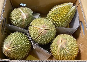 3 Tiny Fruits Taking the Vietnamese Market by Storm - image 6