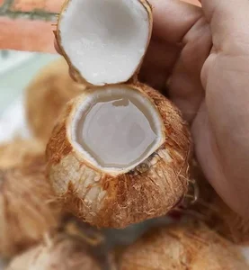 3 Tiny Fruits Taking the Vietnamese Market by Storm - image 4