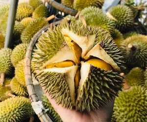 3 Tiny Fruits Taking the Vietnamese Market by Storm - image 2