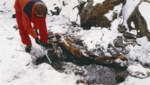 Unraveling the Cold Case of Ötzi the Iceman: Ancient Mysteries Revealed - image 5