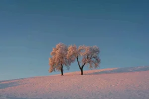 Stunning 4K Desktop Wallpapers and Ultra HD Backgrounds - image 16