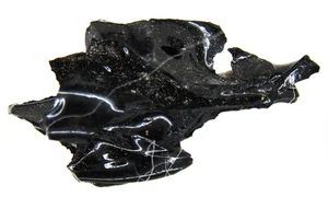 The Science of Vitrification: How Volcanic Heat Turned a Human Brain into Glass - image 9
