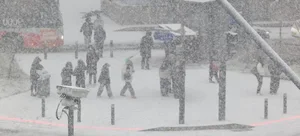 Breathtaking Winter Wonderland: Stunning Snowfall Across Japan and South Korea - image 2