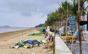 Unbelievable Scenes at a Famous Beach in Thanh Hoa - image 2