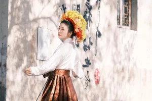 YiTuYu Art Language Vol.6065: A Visual Study of Mo Lu - image 13