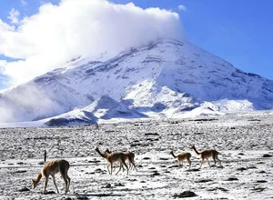 Mount Chimborazo: The Peak Farthest from Earth's Center, Surpassing Mount Everest - image 2