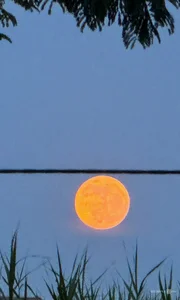 Spectacular Supermoon Illuminates the Night Sky Following the Mid-July Lunar Festival - image 3