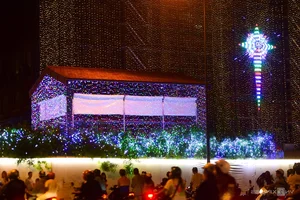 Notre-Dame Cathedral Basilica of Saigon Glows with Festive Lights Ahead of Christmas - image 2