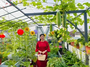Picture-Perfect Rooftop Garden: A Green Oasis in Dong Nai, Vietnam - image 0