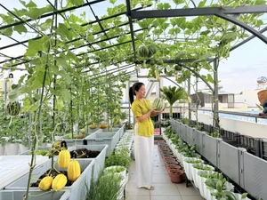 Picture-Perfect Rooftop Garden: A Green Oasis in Dong Nai, Vietnam - image 6