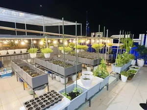 Picture-Perfect Rooftop Garden: A Green Oasis in Dong Nai, Vietnam - image 2