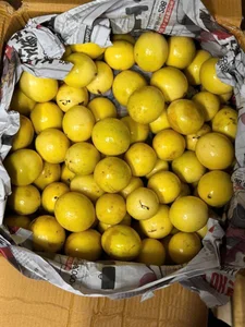 The Strange Lemon That Smells Like Guava: Why It's Trending in Vietnam - image 1