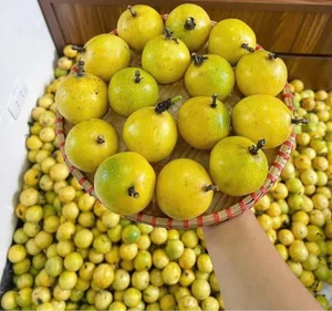 The Strange Lemon That Smells Like Guava: Why It's Trending in Vietnam - image 8
