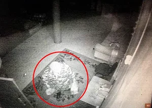 Scientific Mystery of the Century Old Mummified Buddhist Monk - image 6