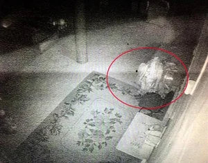 Scientific Mystery of the Century Old Mummified Buddhist Monk - image 9