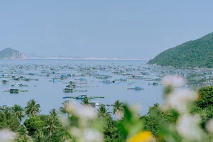 Discovering the Pristine Beauty of Bai Mon: Vietnam’s First Sunrise Spot - image 4