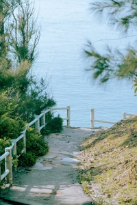 Discovering the Pristine Beauty of Bai Mon: Vietnam’s First Sunrise Spot - image 10