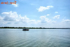 The Fascinating Origins and History Behind the Name Dong Thap Muoi - image 0