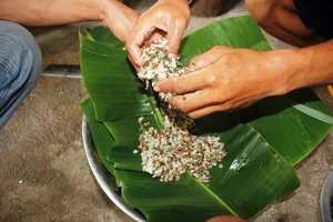 Exploring the Rare Weaver Ant Fish Salad of Rơ Măm Village in Kon Tum - image 8