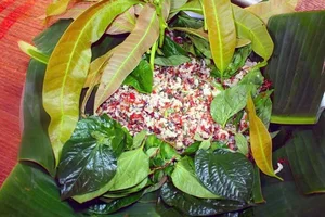 Exploring the Rare Weaver Ant Fish Salad of Rơ Măm Village in Kon Tum - image 9