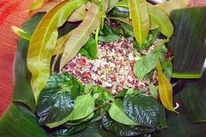 Exploring the Rare Weaver Ant Fish Salad of Rơ Măm Village in Kon Tum - image 4