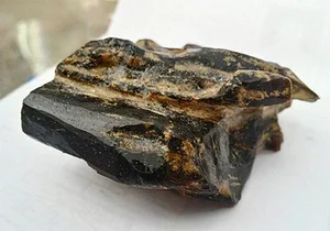Vietnam's Forest Diamonds: The Incredible Value of Rare Wood Species - image 5