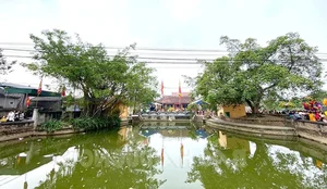 Unique One-Day Tet Markets: A Rare Vietnamese Cultural Tradition - image 4