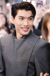 Vietnamese Pop Phenomenon: Thousands of Fans Gather to Welcome V-Pop Stars - image 1