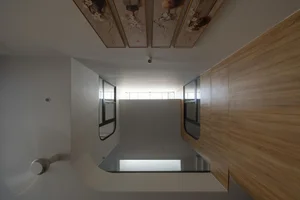 House for Mom: A 5m Townhouse Solution for Multi-Generational Living - image 10