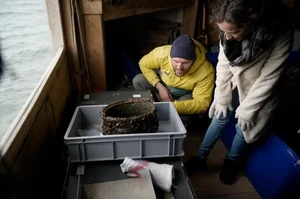 Archaeologists Recover Rare Roman Artifacts from the Depths of a Swiss Lake - image 0