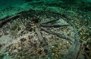 Archaeologists Recover Rare Roman Artifacts from the Depths of a Swiss Lake - image 1