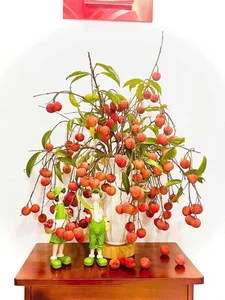 Unique Decorative Lychee Branches Become Latest Market Trend - image 3