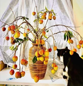 Unique Decorative Lychee Branches Become Latest Market Trend - image 0
