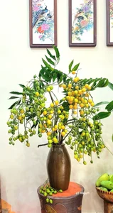 Unique Decorative Lychee Branches Become Latest Market Trend - image 5