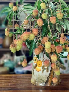 Unique Decorative Lychee Branches Become Latest Market Trend - image 7